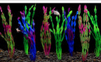 5/10pcs Plastic Aquarium Plants