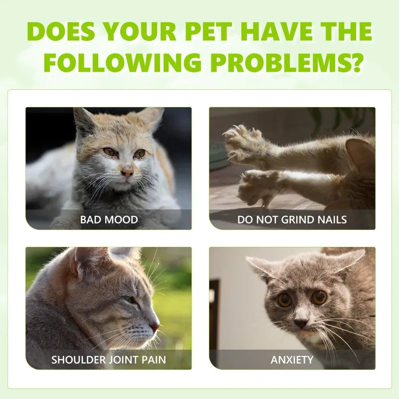 Catnip Spray Relieves Anxious Moods