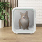 Dryer Box for Dogs Cats