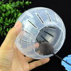 Plastic Outdoor Sport Ball