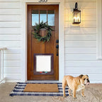 Cat Flap Door