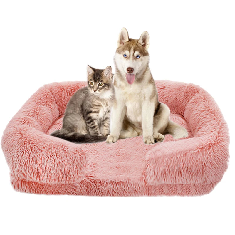 Orthopedic Dog/Cat bed