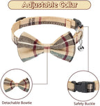 Adjustable Harness Collar Leash Set