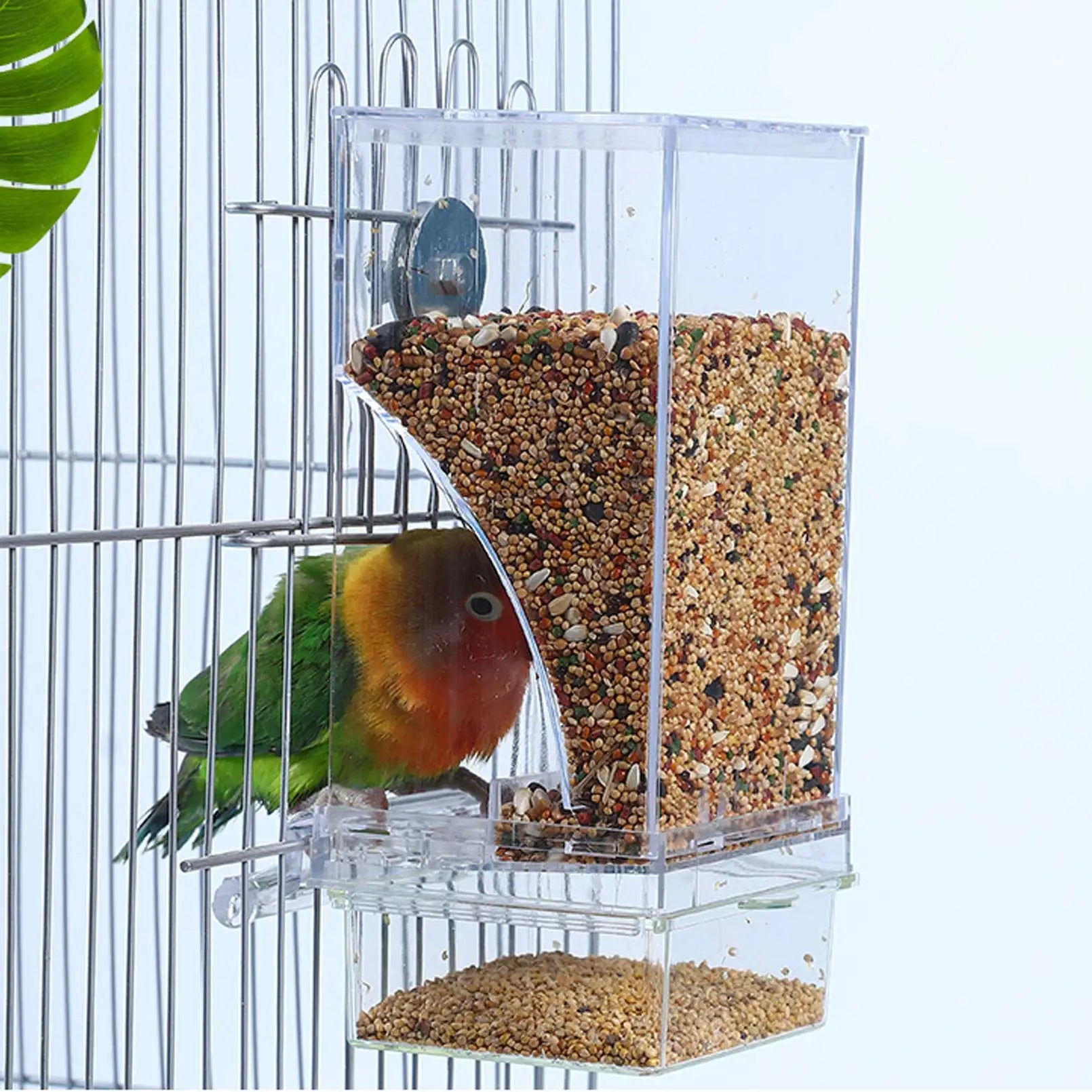 No Mess Bird Feeders