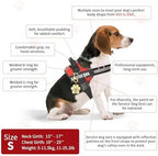 Service Dog Vest & ID Cards