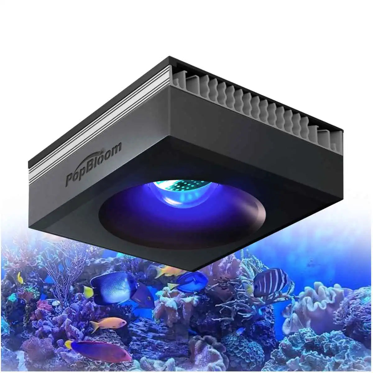 WiFi Reef Aquarium Light
