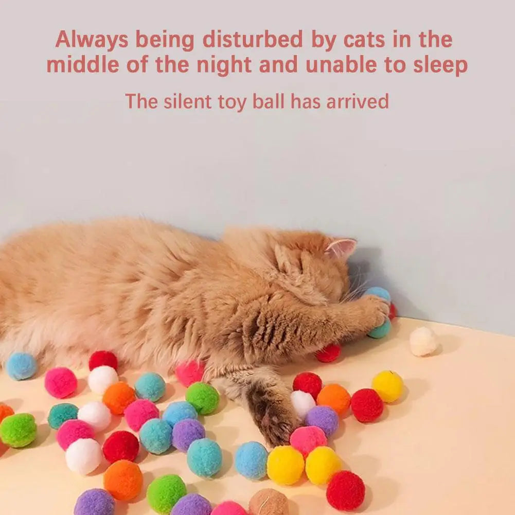 Launch Training For Kittens