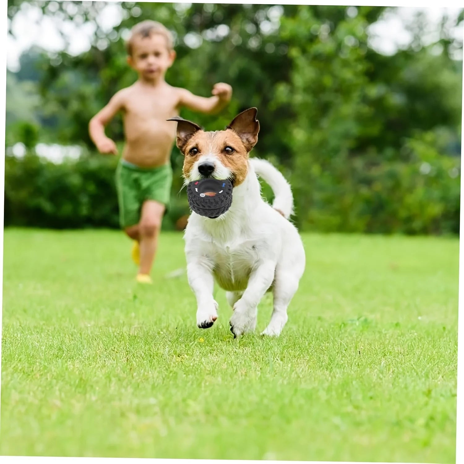 Durable Dog Chew Wheel Toy