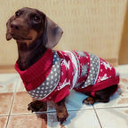 Cute Dog Sweater