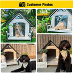 Dog House