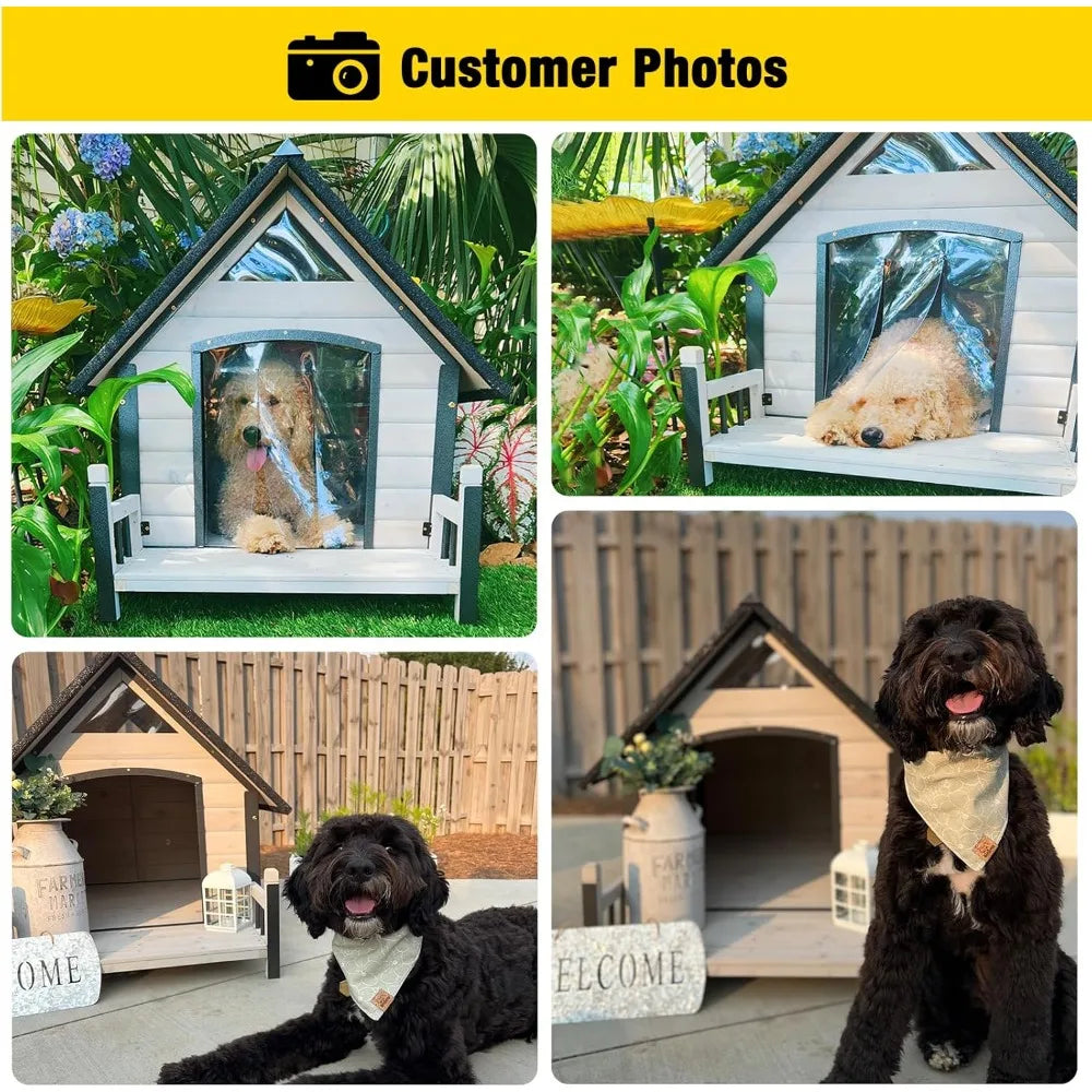 Dog House