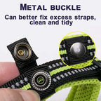 Dog Walking Collar with Buckle