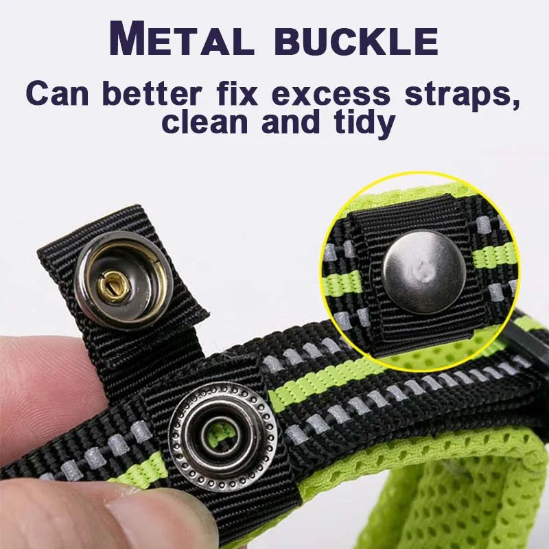 Dog Walking Collar with Buckle