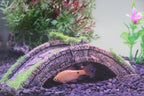 Aquarium Arch Bridge Decor