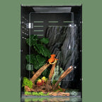 Reptile Tank Terrarium