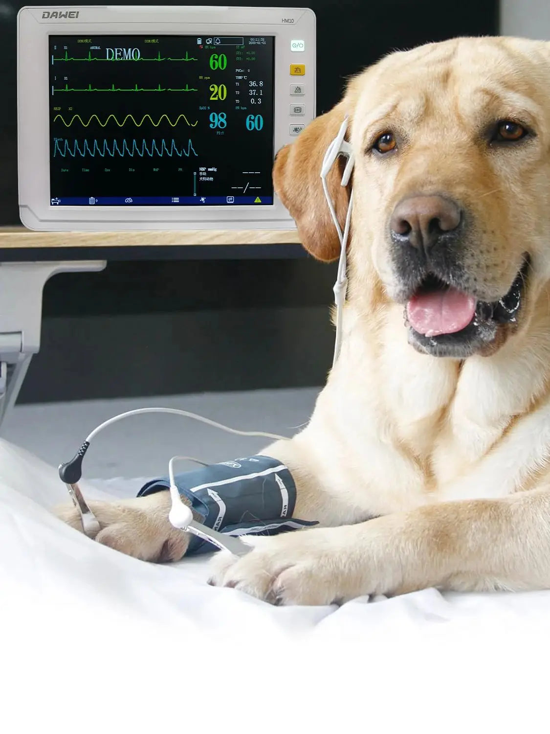 Portable Veterinary Monitor 6 Parameter