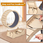 Exercise Wheel for Indoor Cats