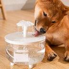 Pet Drinking Fountain
