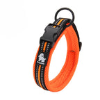 Dog Walking Collar with Buckle