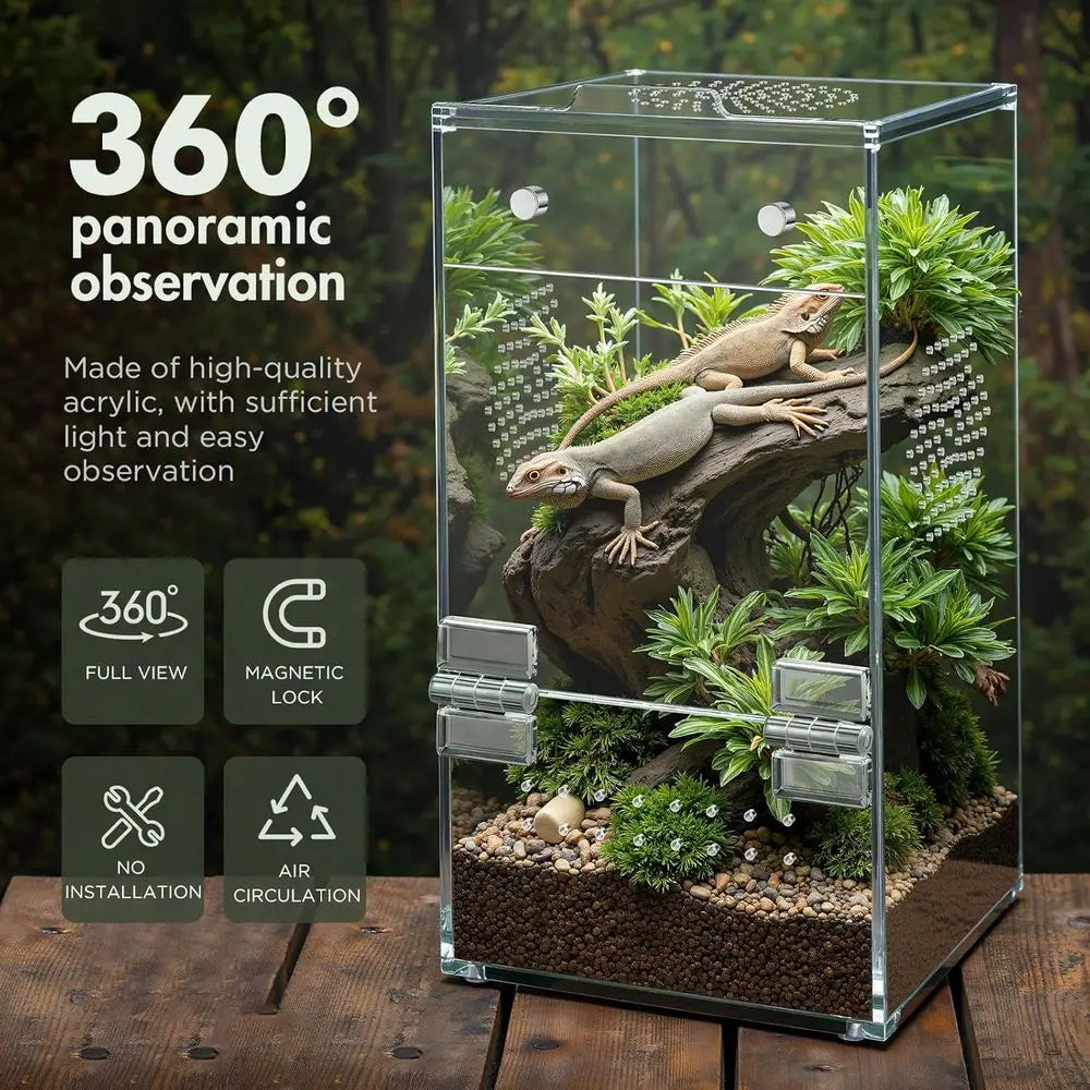 Jumping Spider Enclosure