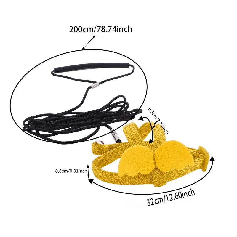 Bird Harness/Leash Training