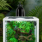 30 Gallon Glass Terrarium