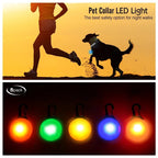 Usb Charging Glowing Dog Collar