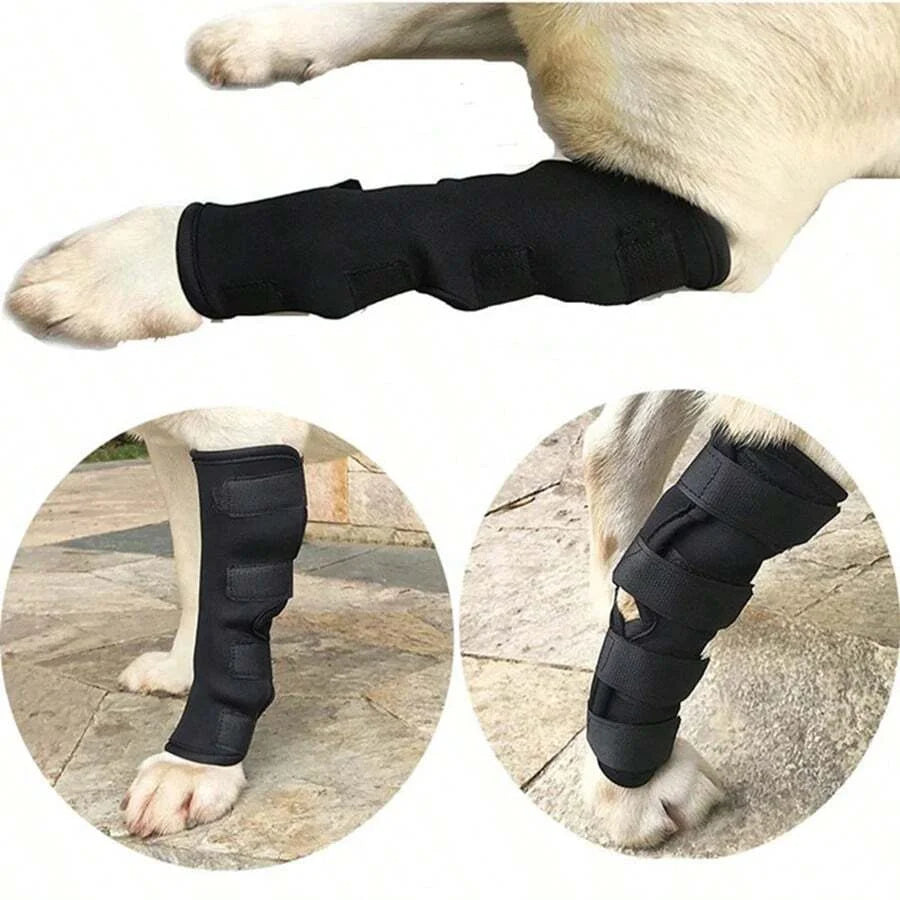Prevent Chew Licking Hock Joint