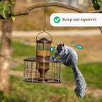 Squirrel Proof Bird Feeders