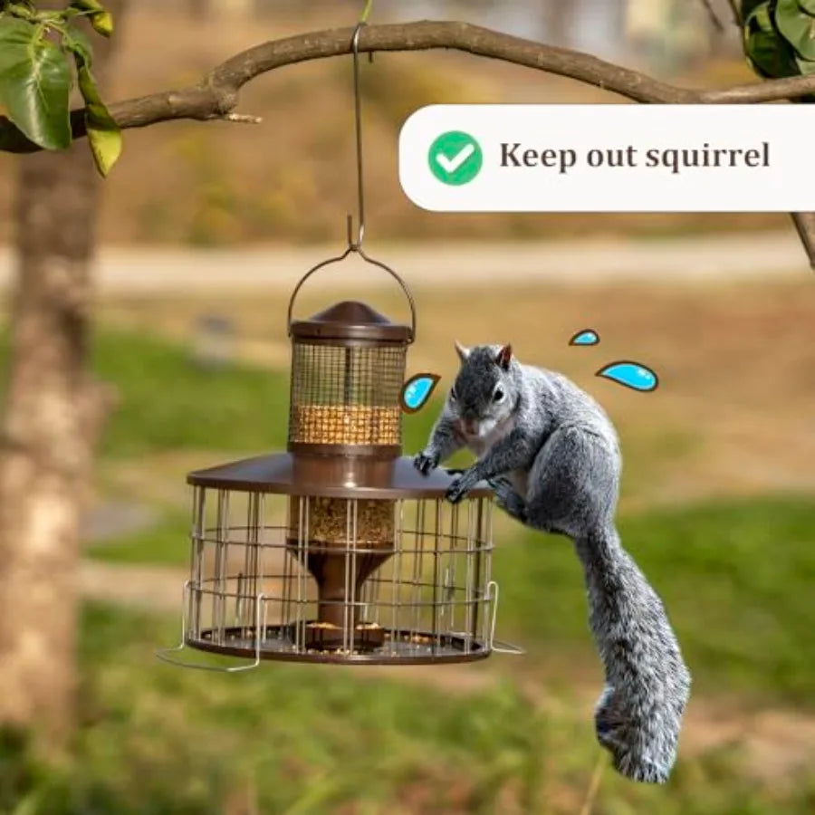 Squirrel Proof Bird Feeders
