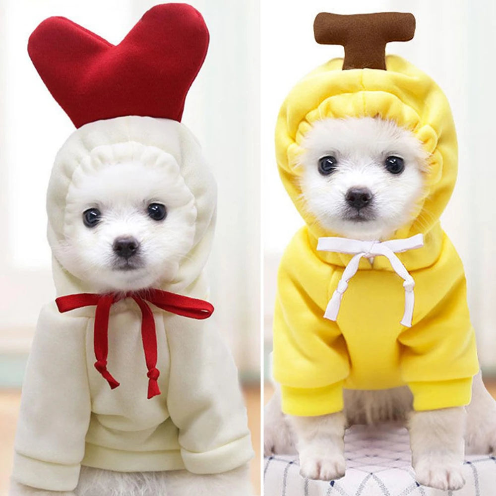 Cute Fruit Dog Clothes