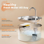 Water Fountain Stainless Steel