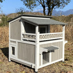 feral cat shelter