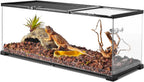 20 Gallon Glass Terrarium