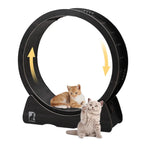 Large Cat Exercise Wheel