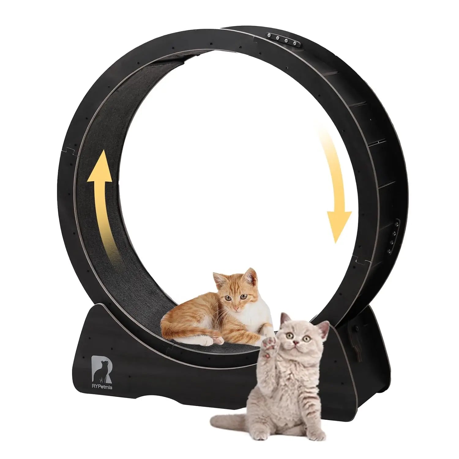 Large Cat Exercise Wheel
