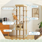 Multi-Level Cat Tree