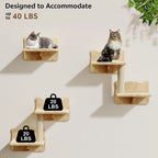 Cat Wall Shelves
