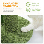 Cactus Cat Scratching Post