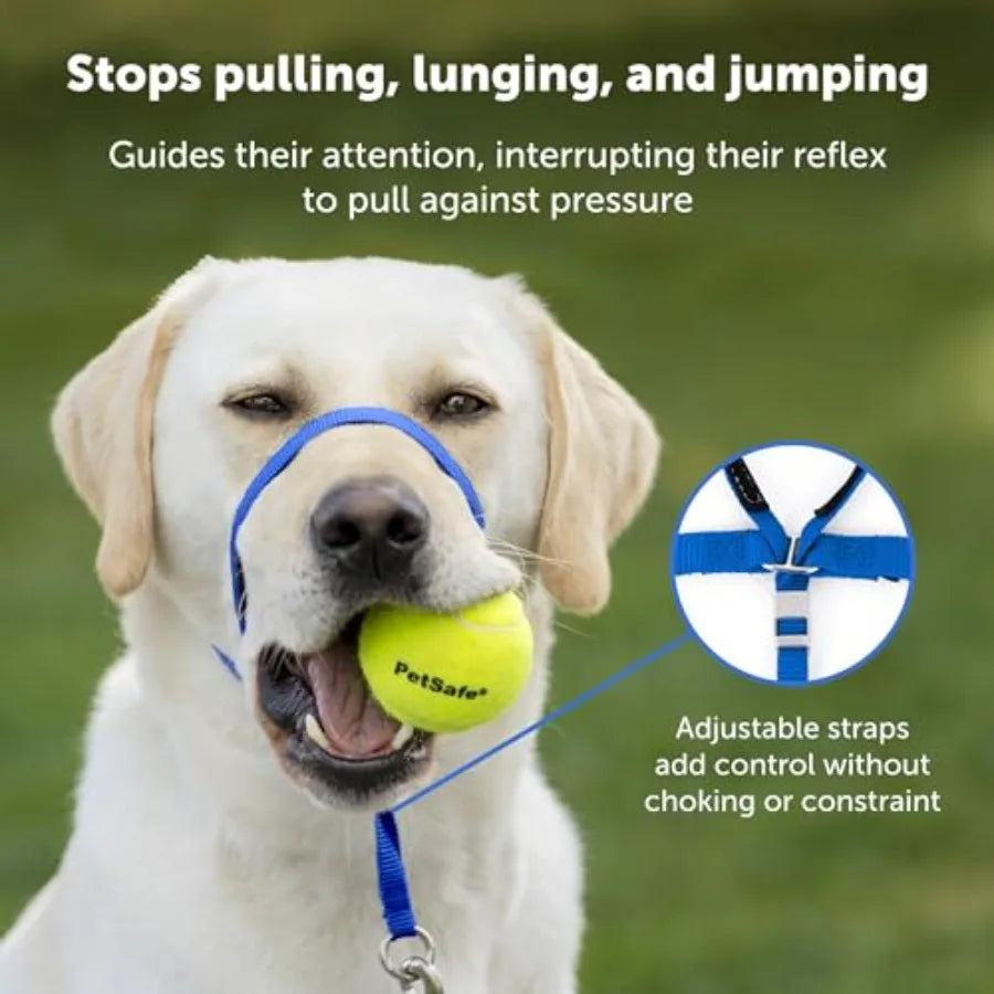 Leader Pull Head Collar