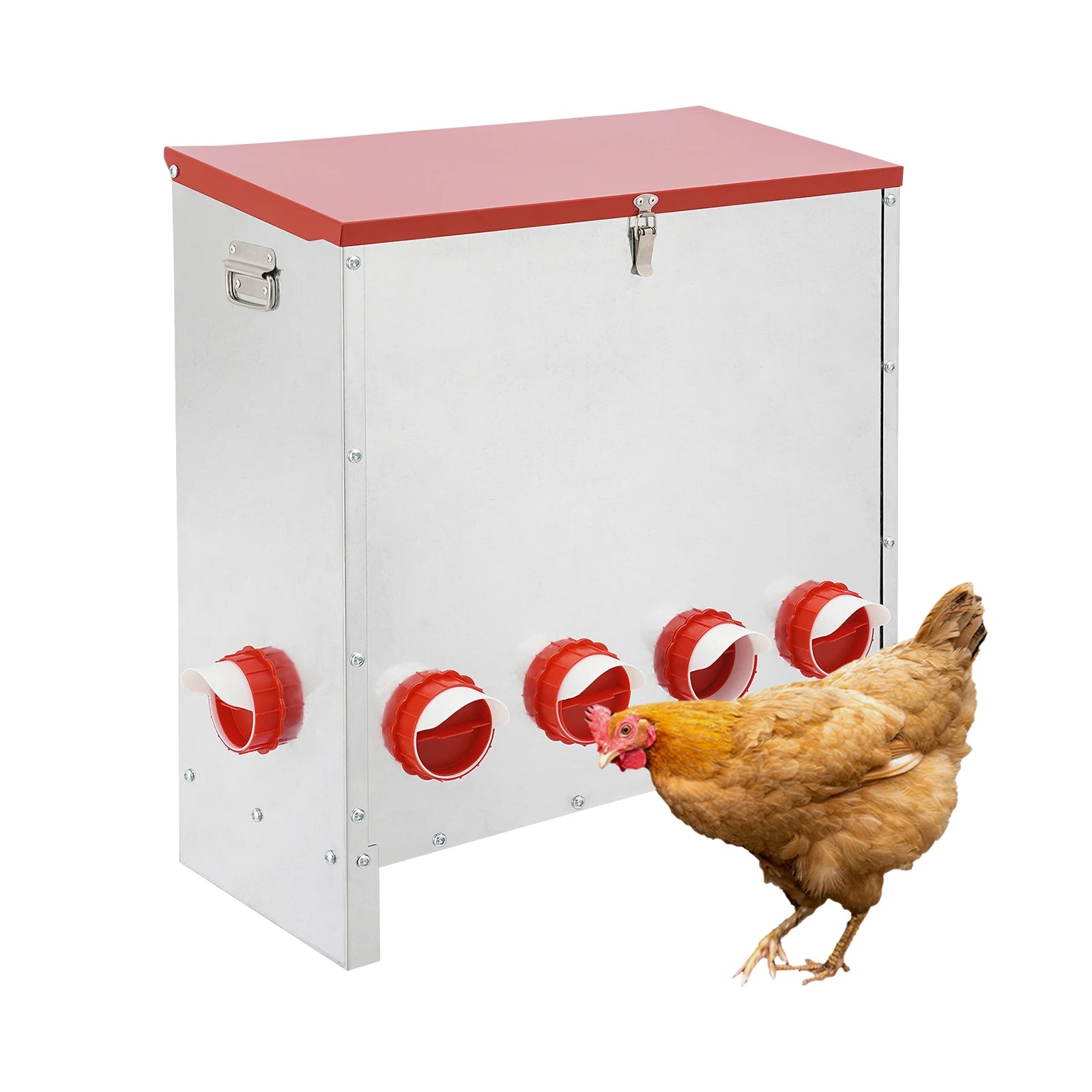 Galvanized Metal Chicken Feeder