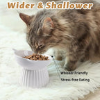 Elevated Ceramic Cat Bowl with 15° Tilt