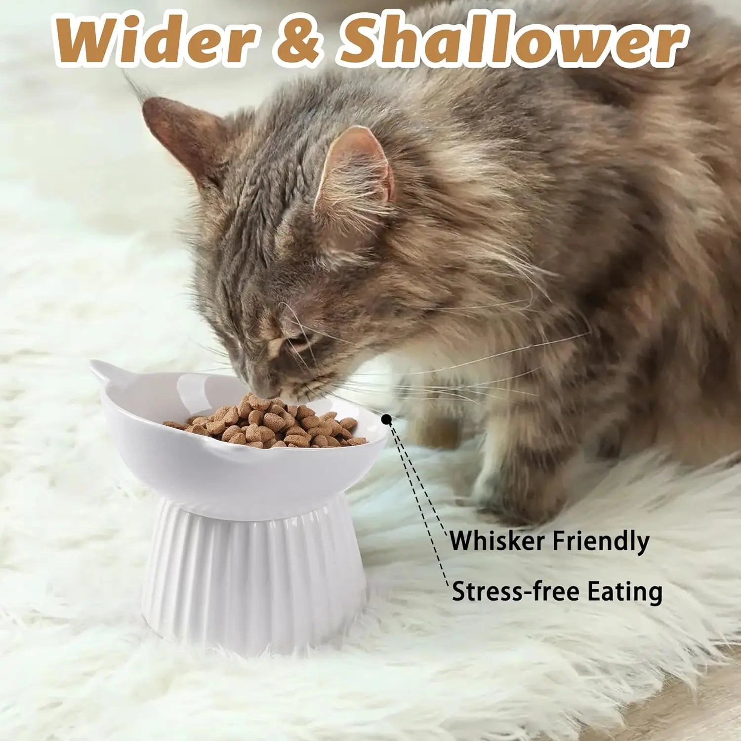 Elevated Ceramic Cat Bowl with 15° Tilt