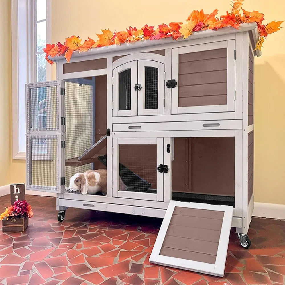 Rabbit Hutch, Guinea Pig/Cage