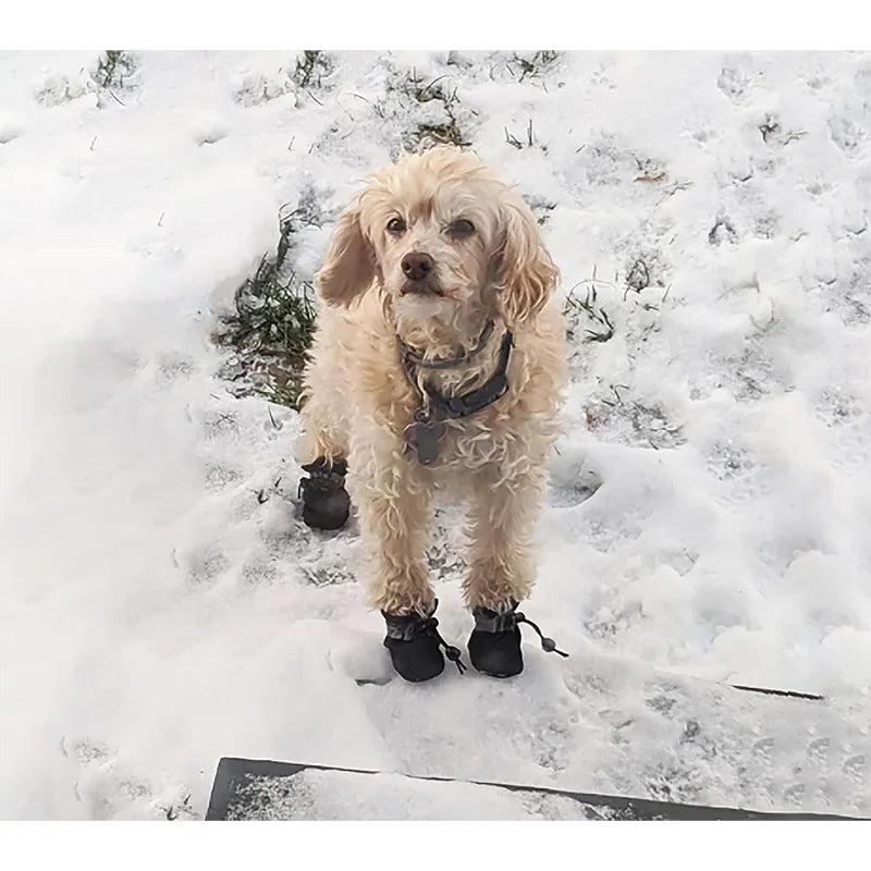 Dog Boots Waterproof Non-slip Sole