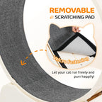 Cat Exercise Wheel, Treadmill