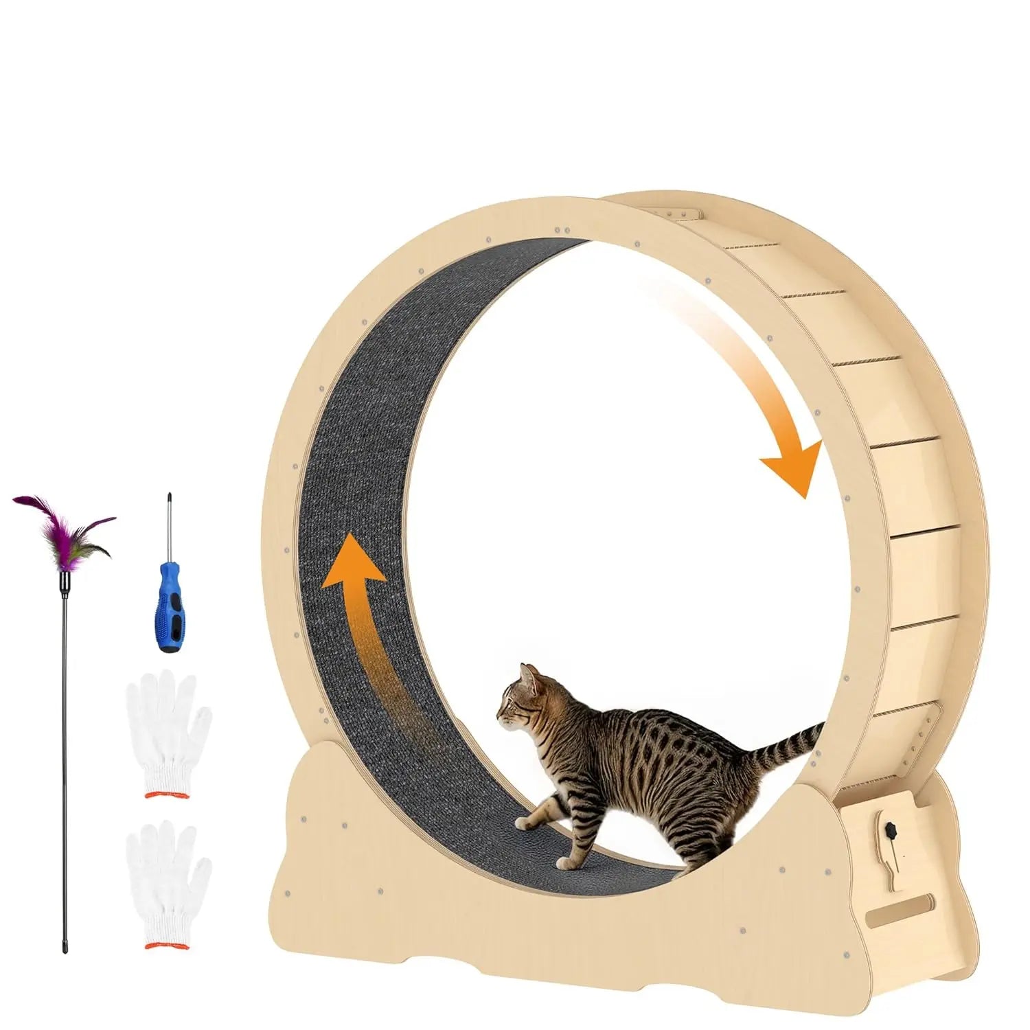 Cat Exercise Wheel Indoor