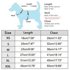 Denim Dog Clothes