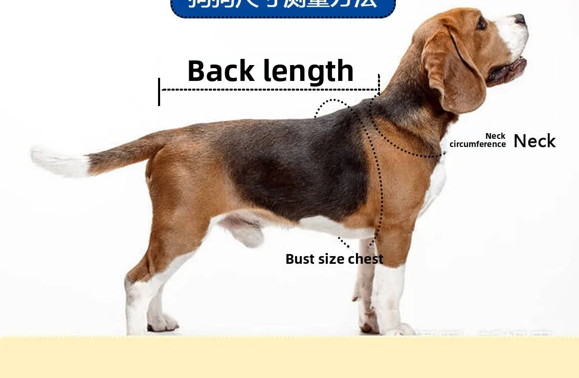 Pet Raincoat Windproof Clothing