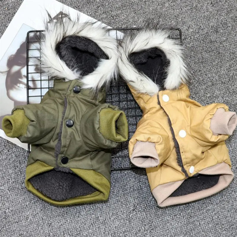 Winter Dog Clothes